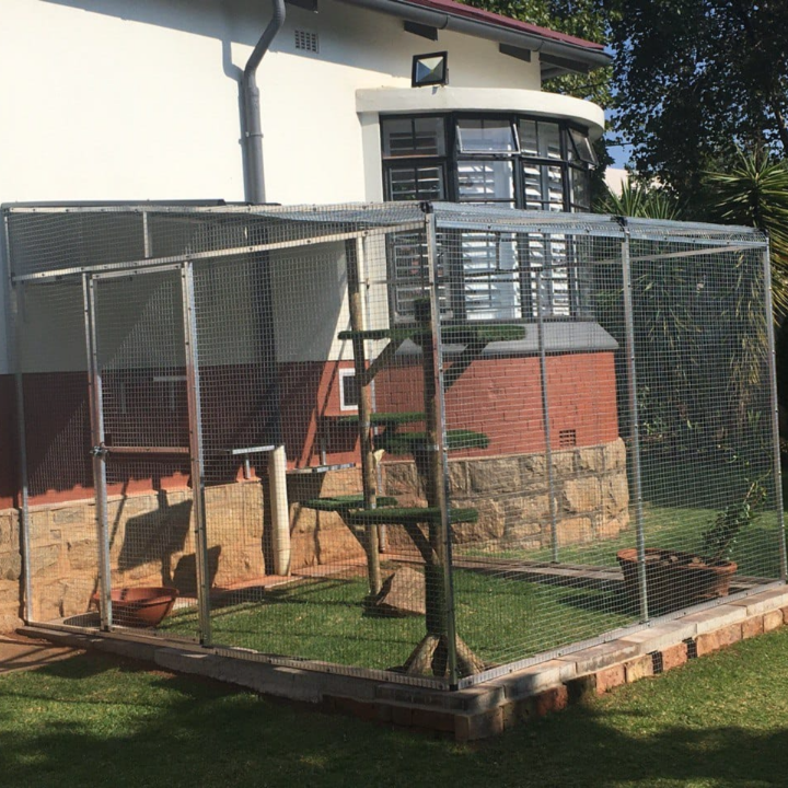 Catio 11