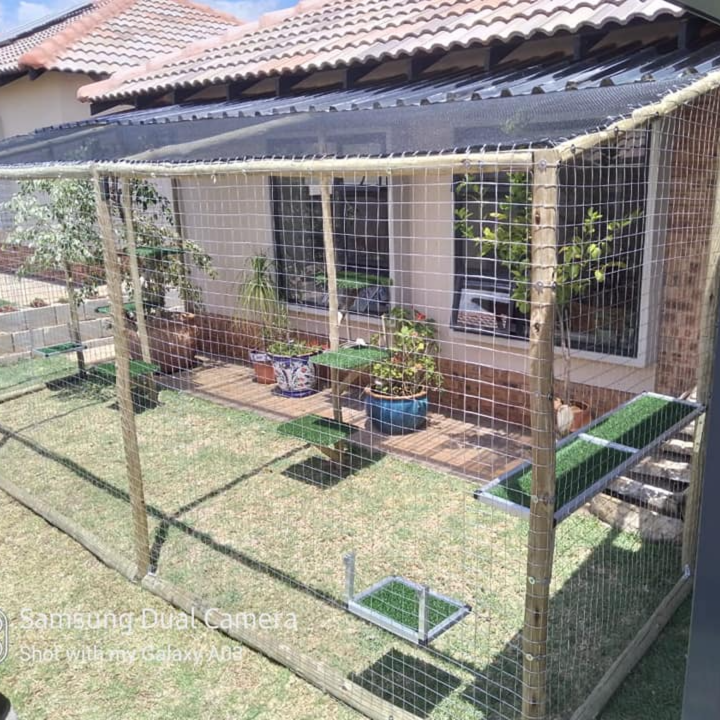 Catio 32