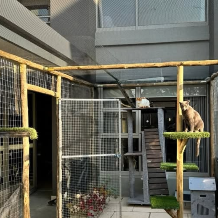 Catio 45